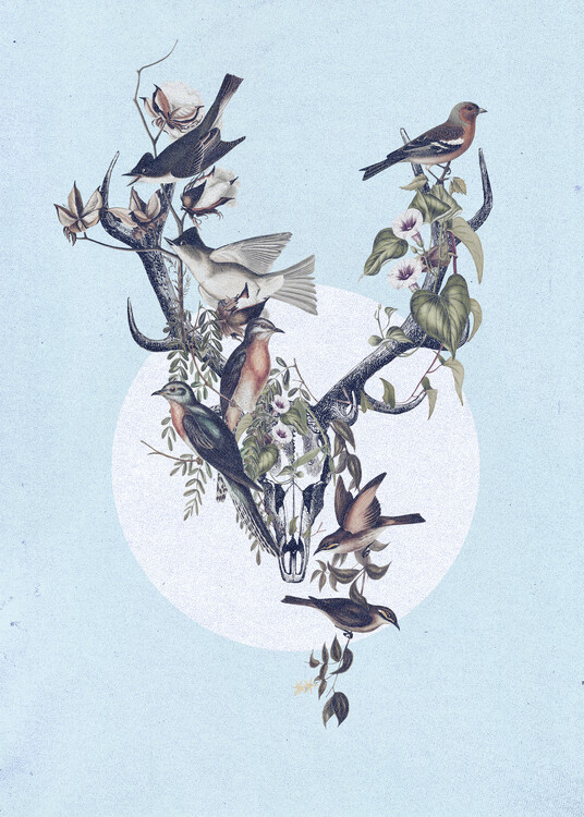 Плакат deer and birds