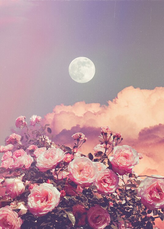 Poster Aesthetic Rose Clouds and Full Moon