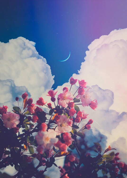 Плакат Aesthetic pink Flowers crescent moon clouds blue sky