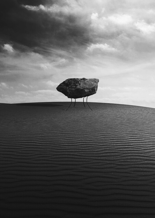 Плакат lonely stone