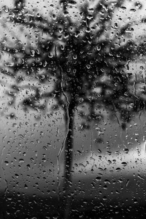 Plakát Rainy view