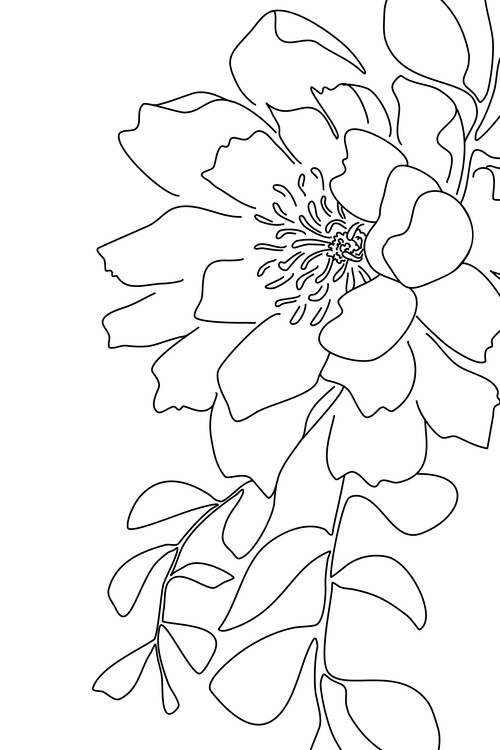 Plakat Loli floral line art
