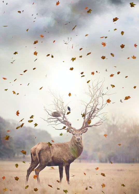 Плакат King deer of the autumn forest flying leaves