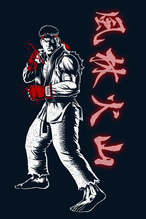 Plakát Fighter