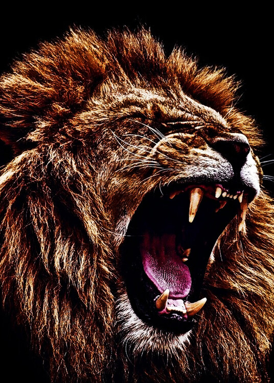 Poster Lion King