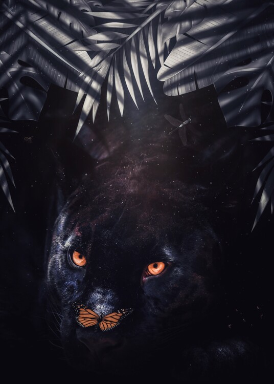Poster Black Panther and Orange Butterfly in jungle