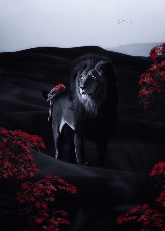 Póster Black Lion and Parrot and Red Flowers in Desert