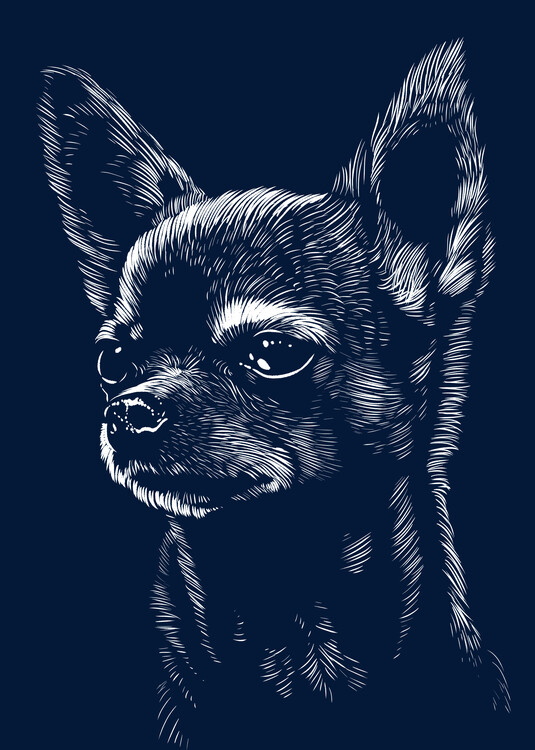 Póster Chihuahua dog face