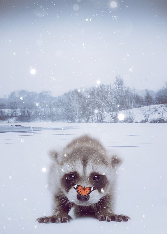 Poster Baby raccoon under snow with orange butterfly