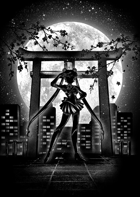 Canvas Print Moonlight Sailor