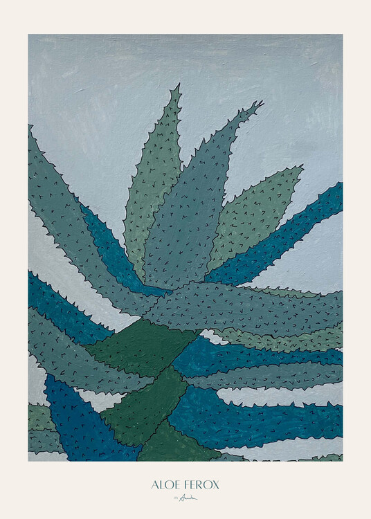 Levně Plakát, Obraz - Aloe Ferox, Annika John, 30 × 40 cm