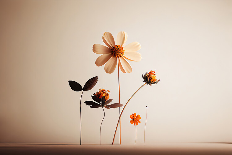 Плакат Dried flowers on white background