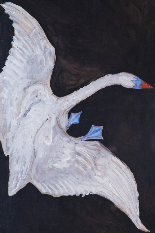 Slika na platnu The White Swan (1 of 2)