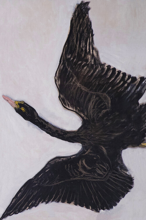 Plakat The Black Swan (2 of 2)
