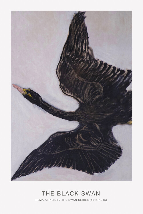Plakat The Black Swan (Exhibition 2 of 2) - Hilma af Klint