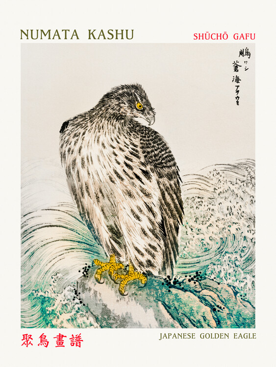 Poster Japanese Golden Eagle (Asian Birds) - Numata Kashu