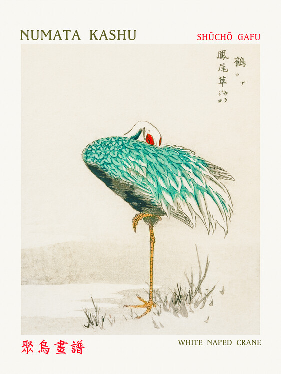 Poster White Naped Crane (Asian Birds) - Numara Kashu