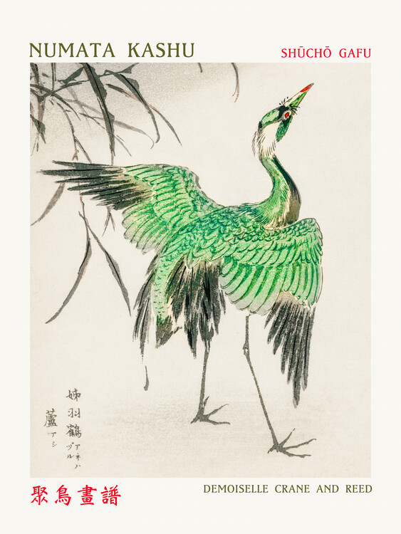 Poster Demoiselle Crane & Reed (Asian Birds) - Numata Kashu