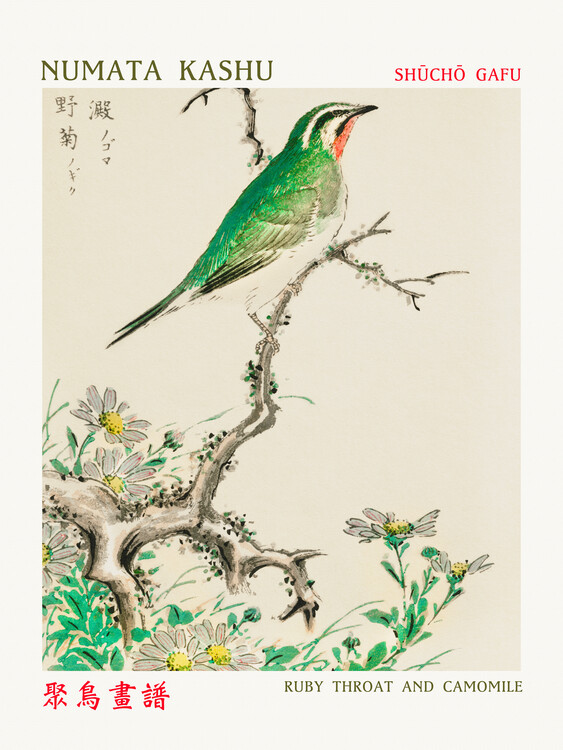 Billede på lærred Ruby Throat & Camomile (Asian Birds) - Numata Kashu