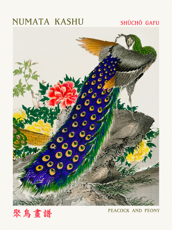 Canvas Print Peacock & Peony (Asian Birds) - Numata Kashu