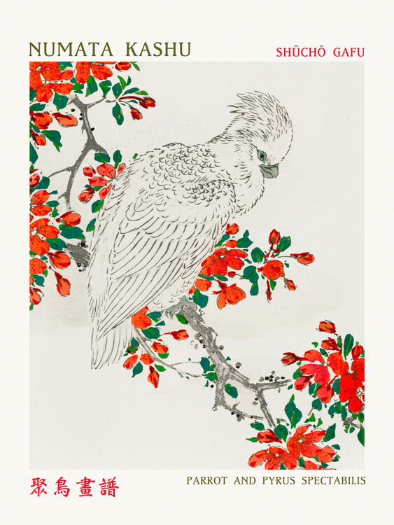 Poster Parrot & Pyrus Spectabilis (Asian Birds) - Numata Kashu