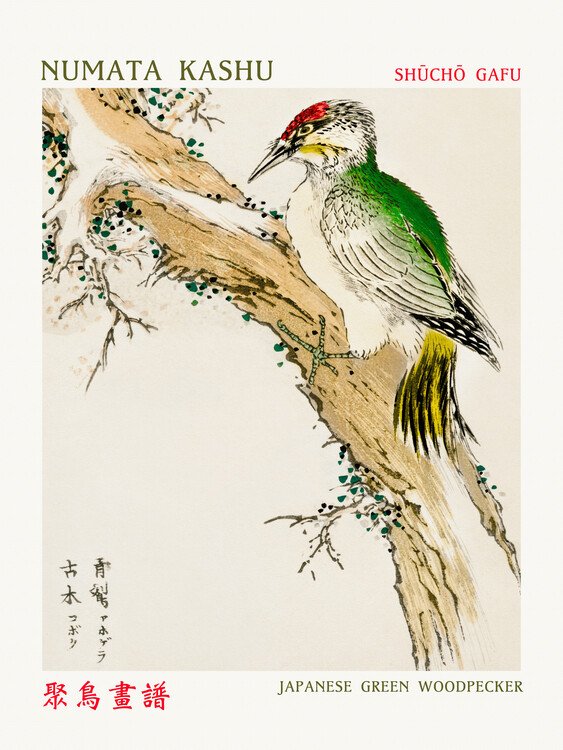 Poster Japanese Green Woodpecker (Asian Birds) - Numata Kashu