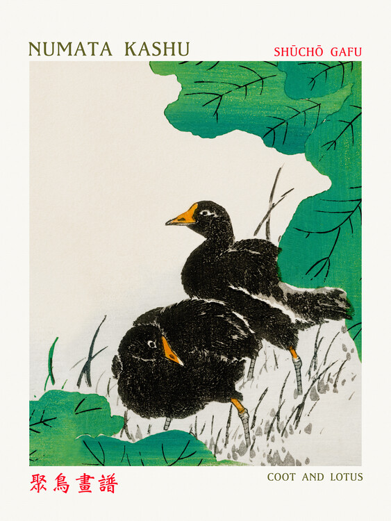 Canvas Print Coot & Lotus (Asian Birds) - Numata Kashu