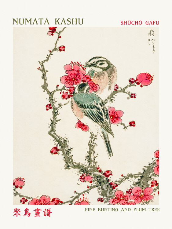 Poster Pine Bunting & Plum Tree (Asian Birds) - Numata Kashu