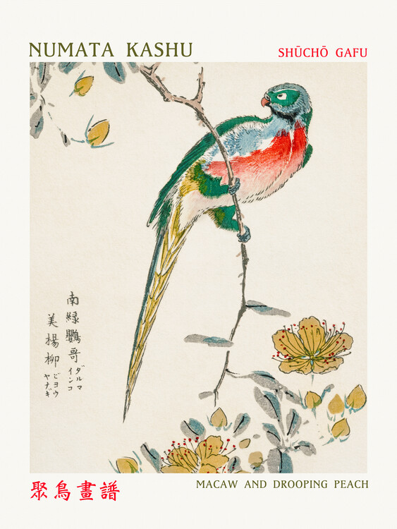 Canvas Print Macaw & Drooping Peach (Asian Birds) - Numata Kashu