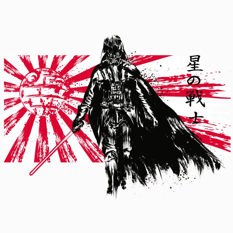 Poster The star warrior