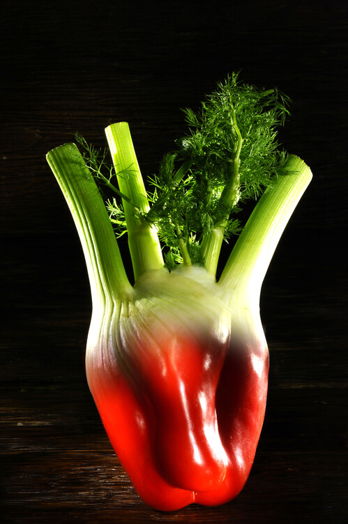 Plakát Heart with a fennel and a pepper