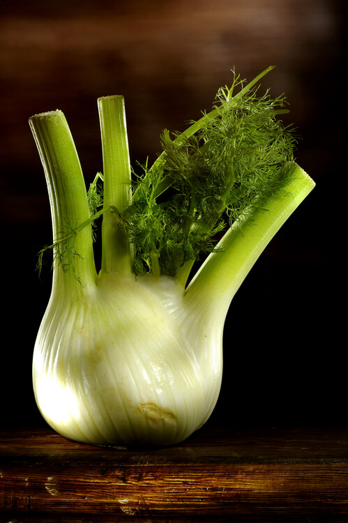 Plakát Fennel on a wooden table