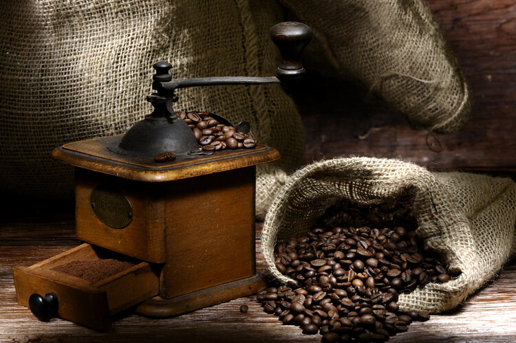 Plakat A vintage coffee grinder near a jute back with beans