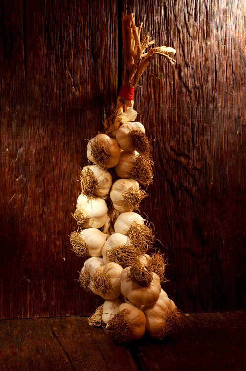 Plakát Bunch of garlic on a  wooden table