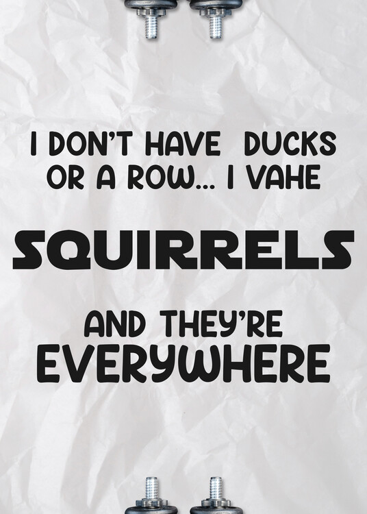 Plakát Squirrels - Motivational Quote