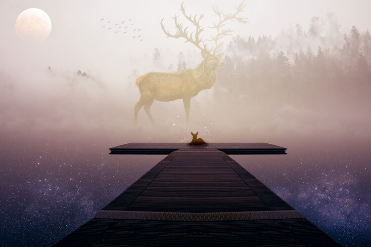 Plakát Lost Dream