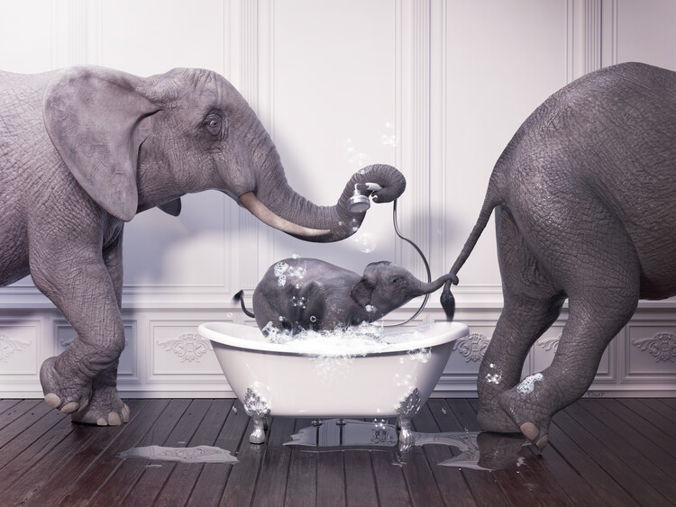 Poster Elephant in Tub Print Wall Art,penguin art,Elephant love