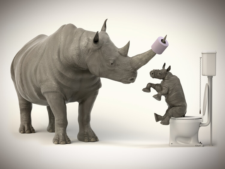 Poster Funny animal in the restroom, animal print in the toilet