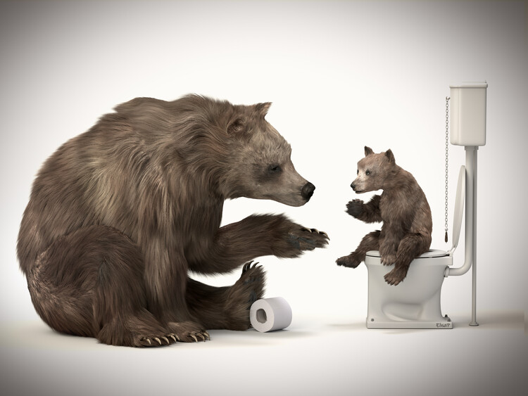 Poster Funny animal in the restroom, animal print in the toilet