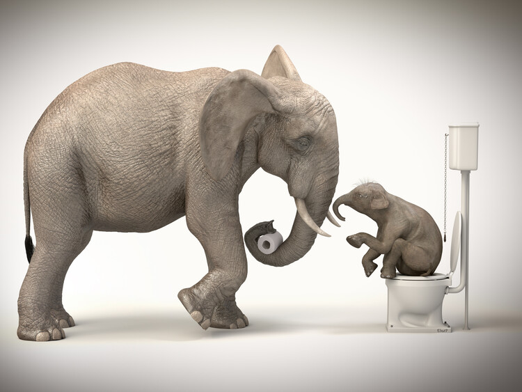 Poster Funny animal in the restroom,animal print in the toilet