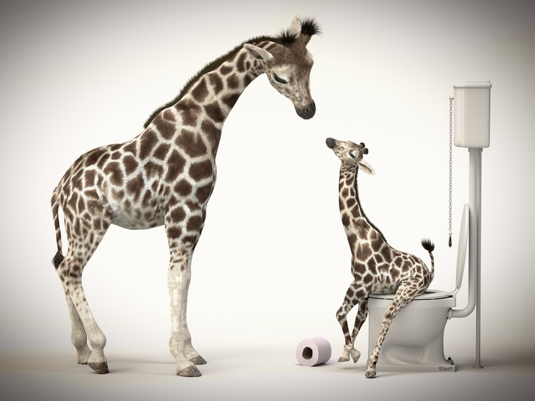 Poster Giraffe in the toilet, print bathroom decor,animal print art