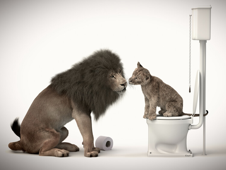 Poster Funny animal in the restroom, animal print in the toilet