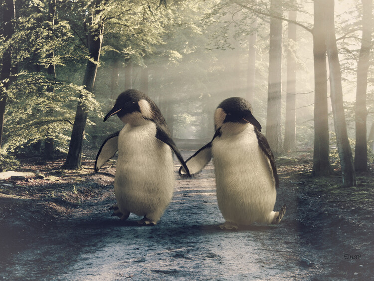 Poster Penguin picture for bathroom,animal in Bathtub,penguin art