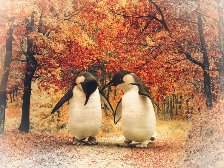 Poster Penguin picture for bathroom,penguin bathroom decor