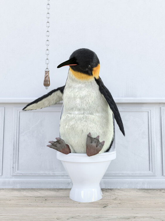 Poster Penguins in a toilet Print Wall Art, penguin Photo