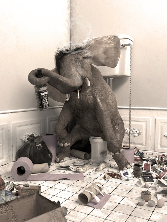 Poster Bathroom wall art of animals in the toilet, elephant Photo