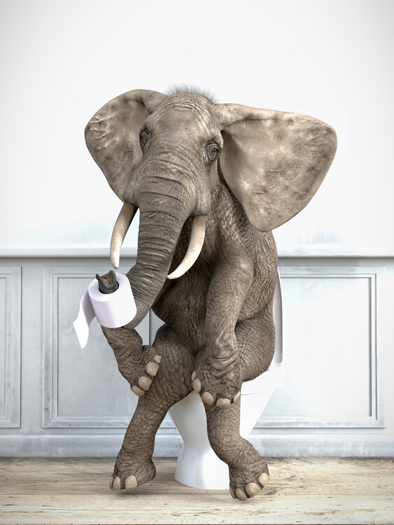 Poster Elephant in a toilet Print Wall Art, Elephant Photo