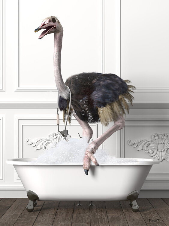 Poster Animal in Tub Wall Art, funny Photo, Animal in Bath