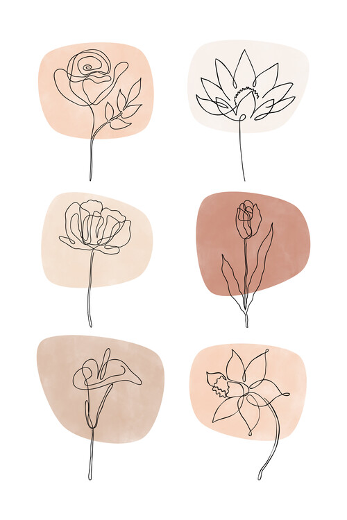 Poster One Line Flowers Poster