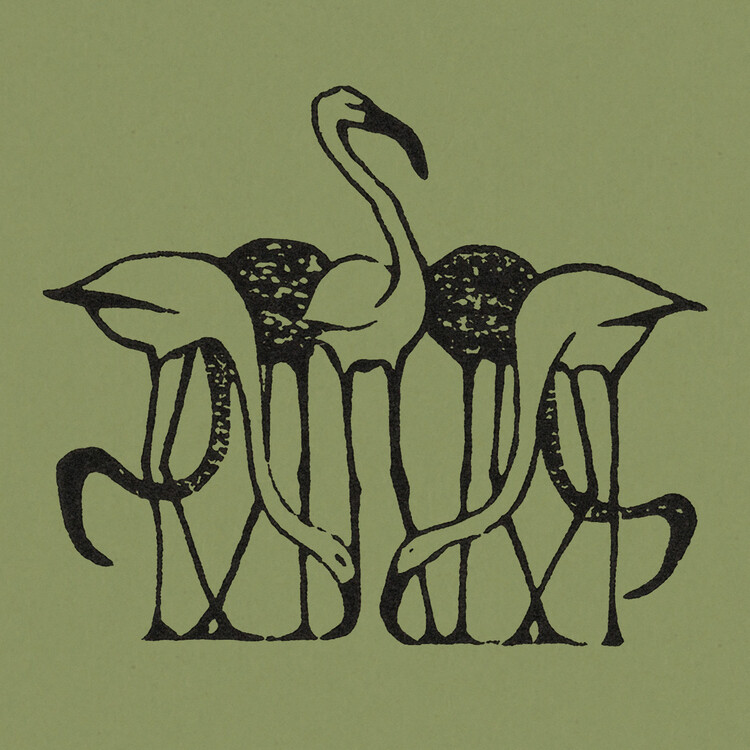 Poster Five Flamingos (Green Graphic) - Gerrit Willem Dijsselhof